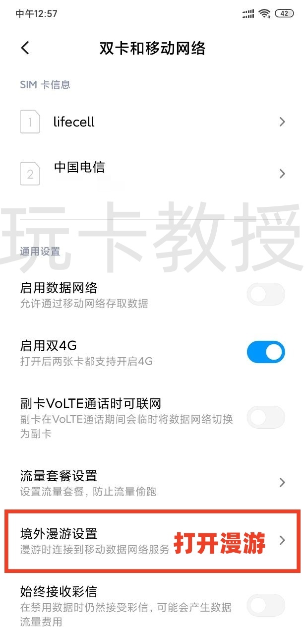 乌克兰lifecell,开卡费26人民币,保号3.6人民币,可免费接收短信,默认移动2G信号,可升级4G信号,无需KYC