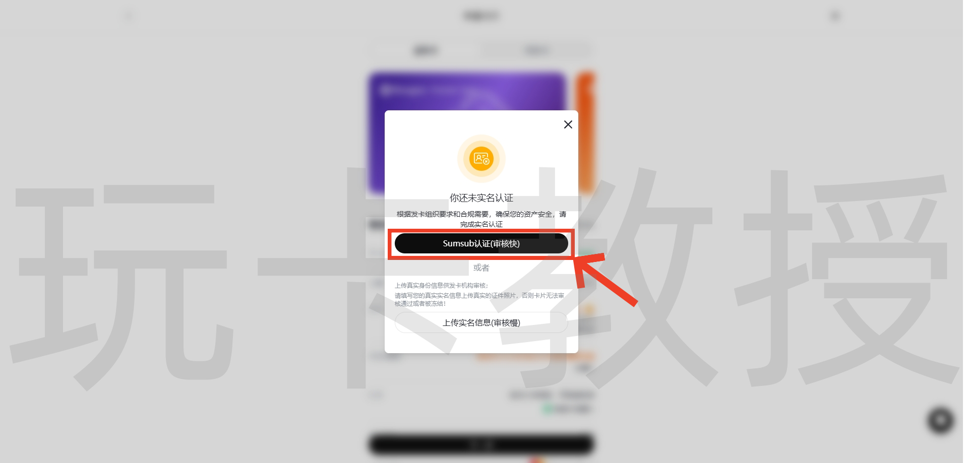 Roogoo,发卡地美国的美元U卡,链接或邀请码注册充值10U免费开卡,7天0费率试用!