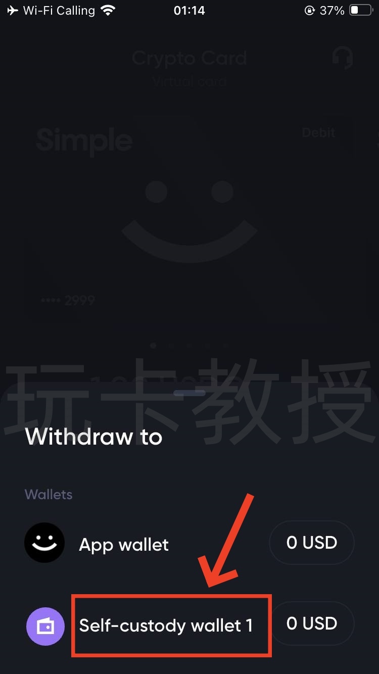 Simple注册-开卡-入金教程，最多可开免费5张虚拟卡，支持CN护照，菲律宾税卡开户