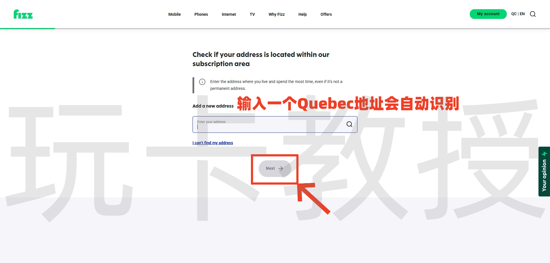 加拿大Fizz eSIM,注册-激活-取消订阅全流程,可选靓号