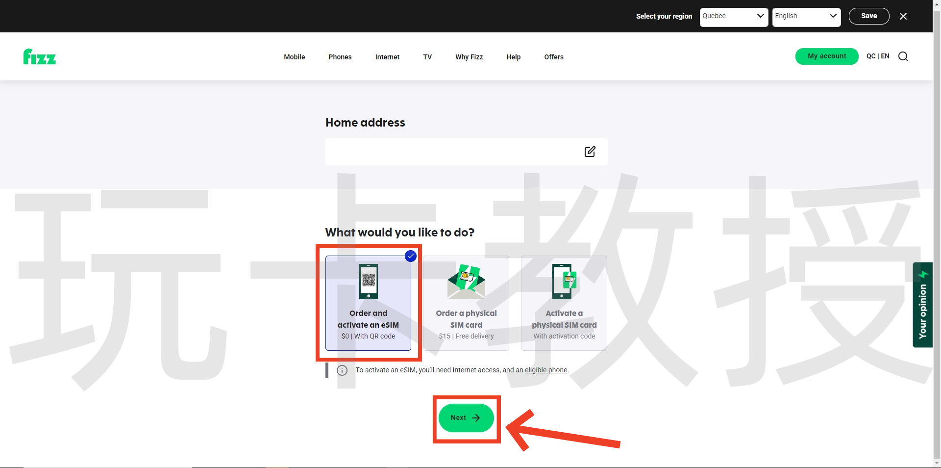 加拿大Fizz eSIM,注册-激活-取消订阅全流程,可选靓号