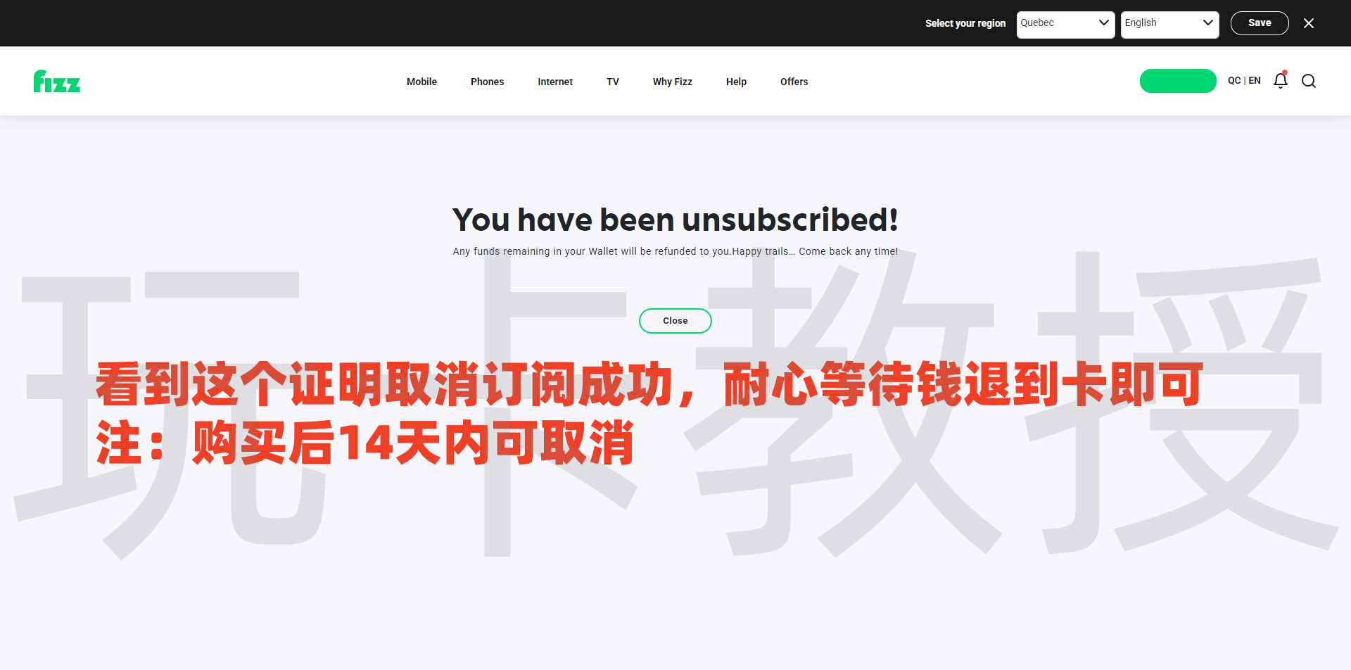 加拿大Fizz eSIM,注册-激活-取消订阅全流程,可选靓号