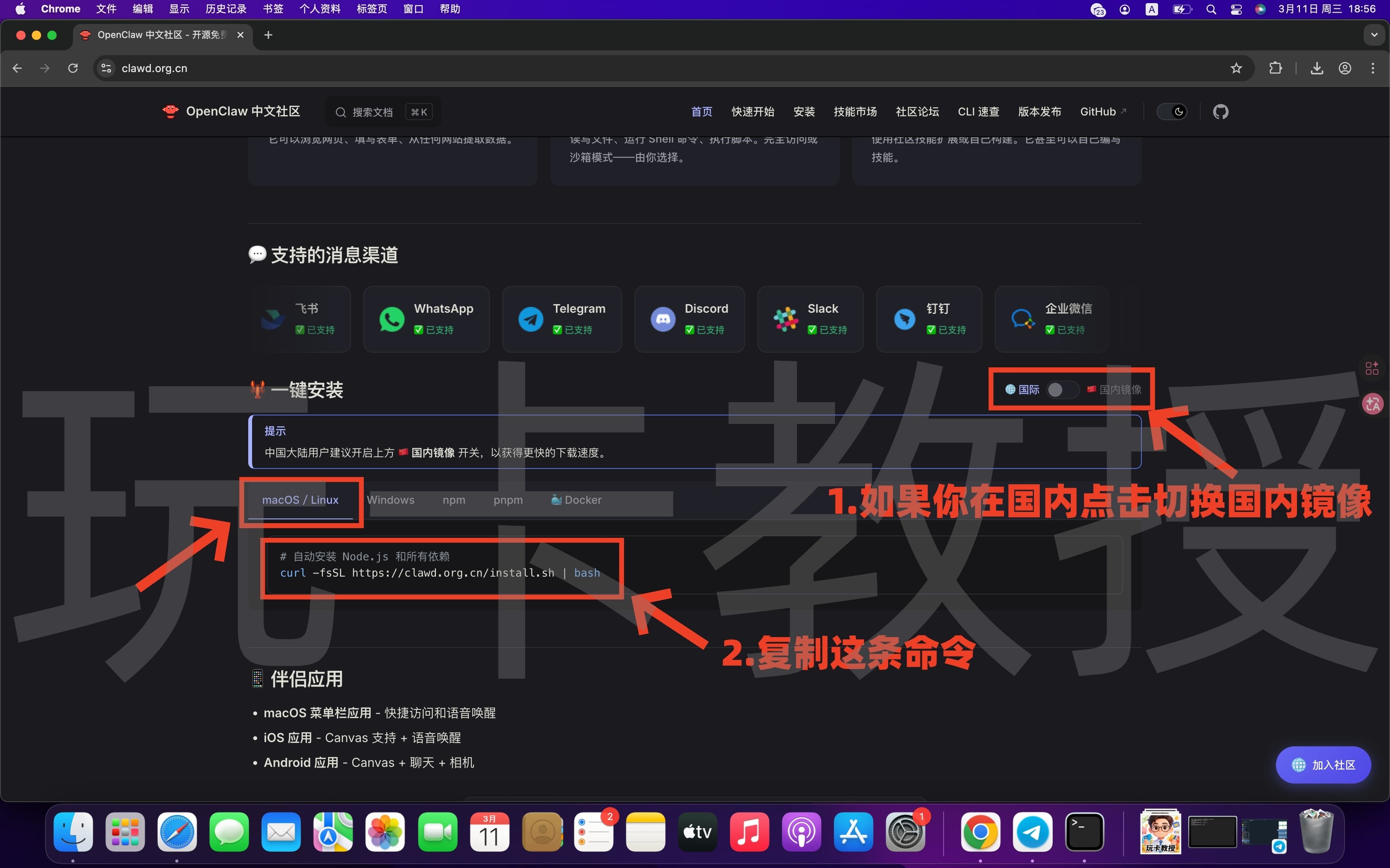 Mac 部署 OpenClaw 教程，接入Telegram/QQ
