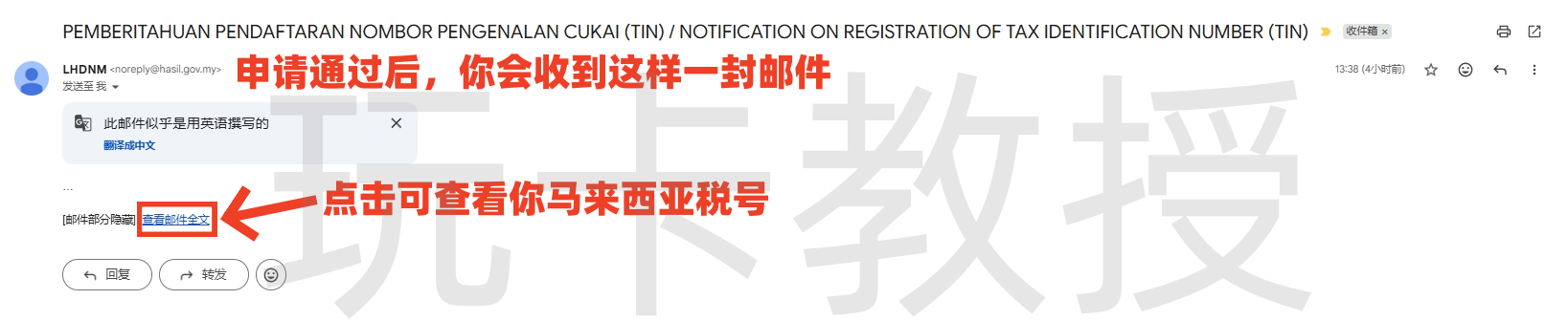 免费申请马来西亚税号保姆级教程