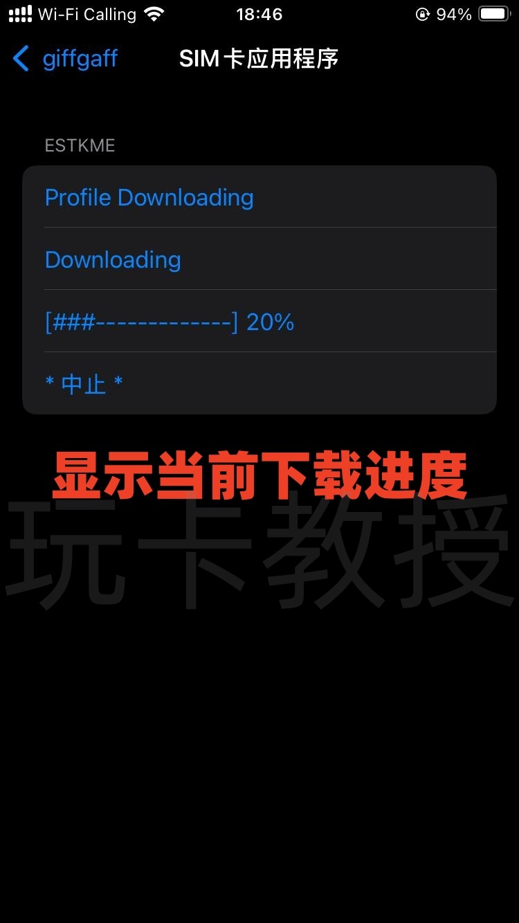 ESTK eSIM使用教程,支持IOS,安卓,电脑写卡,双EID可防止运营商拉黑EID